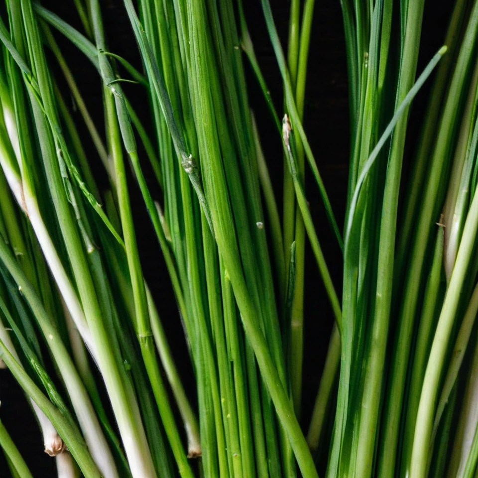 Fresh Garlic Chives